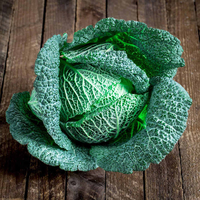 Cabbage Cordesa