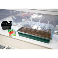 Chilli Pepper Starter Kit