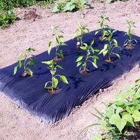 Complete Early Starter Collection