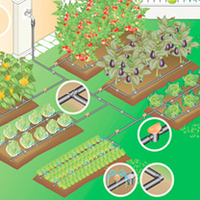 Complete Irrigation Kit