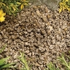 Cornish Silver Chippings - Bulk