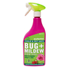 Ecofective Bug + Mildew Control