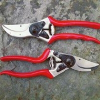 Felco Model 2 Secateurs