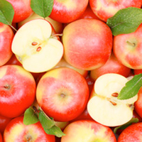 Fruit Me Tree - Apple Me