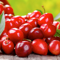 Fruit Me Tree - Cherry Me