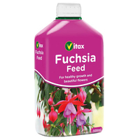 Fuchsia Feed