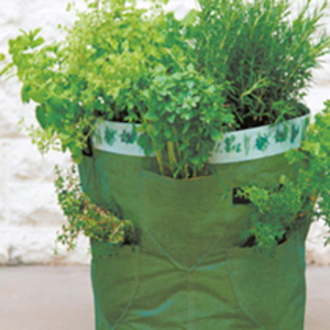 Herb Kit & Planters