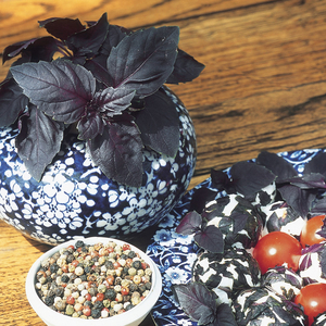 Herb Seeds - Basil Red