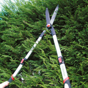 Lightweight Telescopic Shears