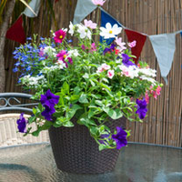 Mixed Bedding Collection