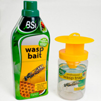 Professional Wasp Kit