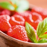 Raspberry Plants - Malling Minerva