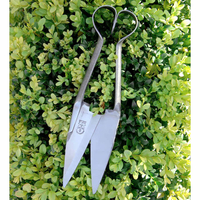 RHS Topiary Shears