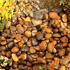 River Pebbles - Bulk
