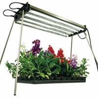 ROOT!T T5 Light System