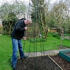 Runner Bean Support Frame Kit