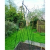 Runner Bean Support Frame Kit