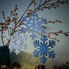 Snowflake Decorations