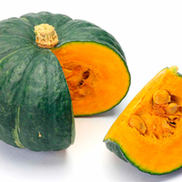 Squash Plants - Kabocha