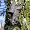 Tree Squirrel