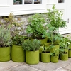 Vigoroot Pots and Planters
