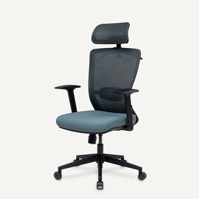 FlexiSpot BS3 Chair Ergonomic
Office Chair Ergonomic
Resilient Swivel Study Office
Chair in Black with Arms and
Back Support 