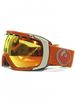 Rogue 14/15 Goggles - Titian