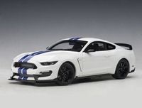 Ford Mustang Shelby GT350R Composite Model Car