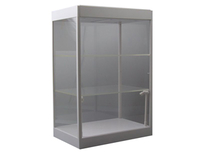 LED Showcase with Two Shelves Display Case
