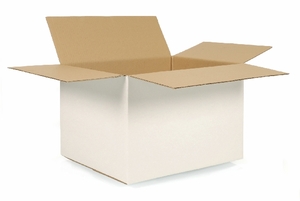 White Cardboard Box 229 x 229 x 229