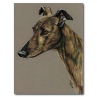 Brindle Greyhound Dog Art Postcard