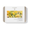 Dr. Hauschka Revitalizing Face Care Kit