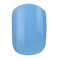 Elegant Touch Express - Polished Pastel Blue