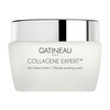 Gatineau Collagene Expert Ultimate Smoothing Cream 50ml