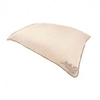 Holistic Silk Anti-Ageing Silk Pillow Case - Cream
