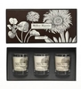 Miller Harris Les Bois Votive Candle Gift Set