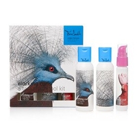 Tara Smith Working Curls Tool Kit