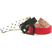 Alpha Reversible Belt