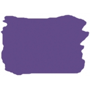 Citadel Foundation Paints - Hormagaunt Purple