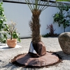 Bio Green Palm Rootzone Cover