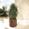 Bio Green Thermoplus Pot Cover XL
