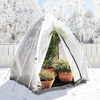 Bio Green Tropical Island Plastic Greenhouse (Medium)