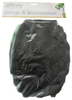 Blagdon Inpond 3000 3250 Foam Set