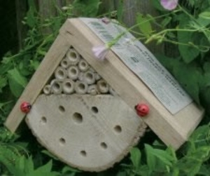 Bug Box