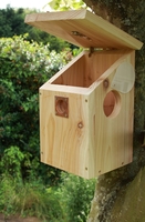 Camera Ready Nest Box