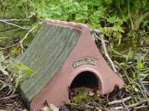 Ceramic Frog & Toad House