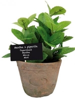Home & Garden  - Fallen Fruits Artificial Mint In Terracotta Pot (Size L)