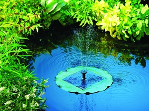 Floating Lily Fountain