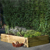Forest Garden 90 x 180cm Caledonian Large Raised Bed with Base 