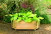 Forest Garden Richmond Planter